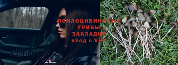 apvp Заводоуковск